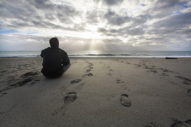 A lone Traveller